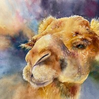 Elizabeth Pfeiffer Captivating Camel