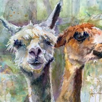 Arizona Art Supply Merchant Award - Lauralee Stenzel - Dolly Llamas