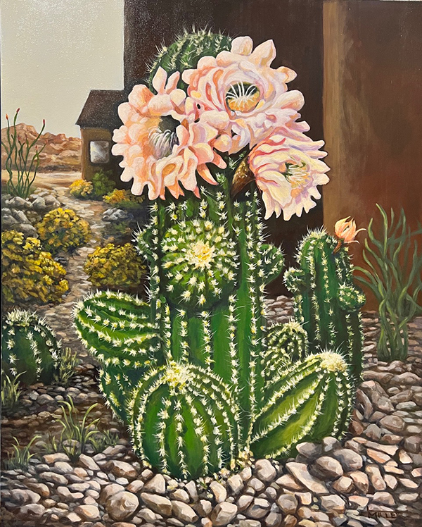 cactus flowering
